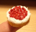 fraisier 2
